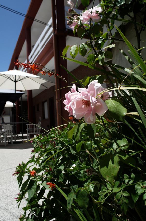 Hosteria Robert 비야 헤셀 외부 사진